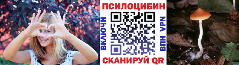 купить наркотик  Свободный  Галлюциногенные грибы мицелий 