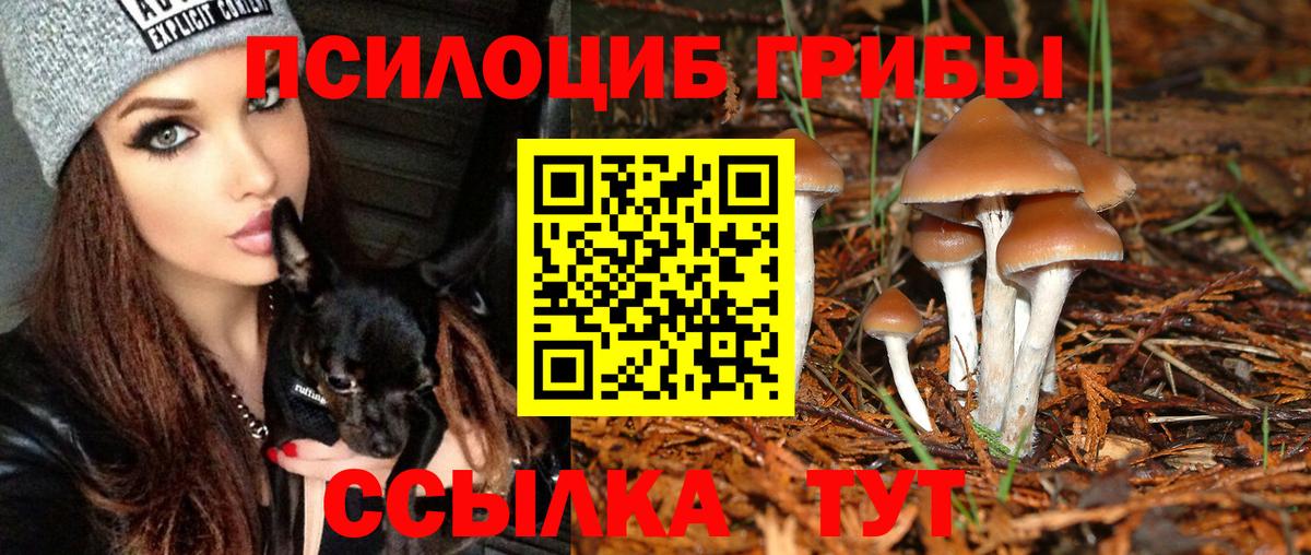 Галлюциногенные грибы Magic Shrooms  Псилоцибиновые грибы MAGIC MUSHROOMS  Свободный  Вход с VPN 