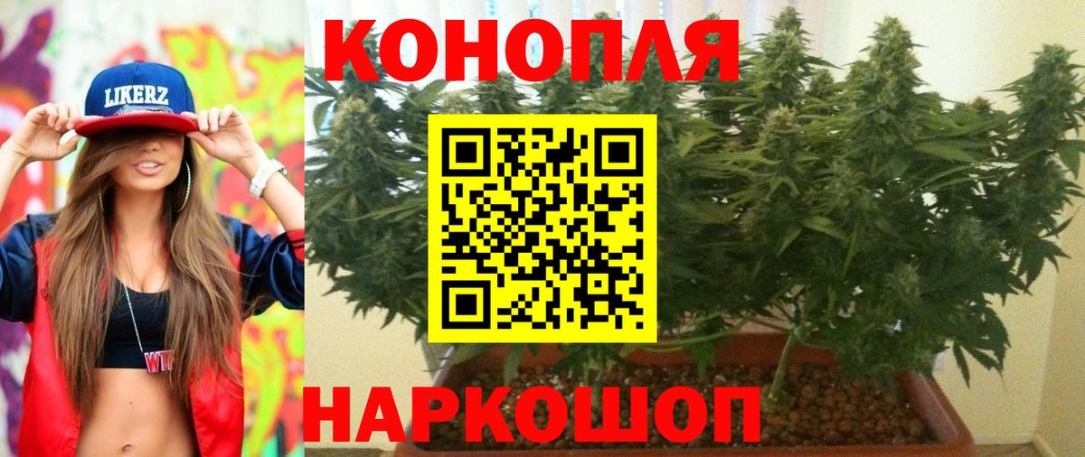 Канабис сатива  Шишки марихуана семена  Каннабис план  Бошки марихуана LSD WEED  Свободный  Вход с VPN 
